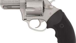 CHARTER ARMS BULLDOG 45LC - 2.5" S/S