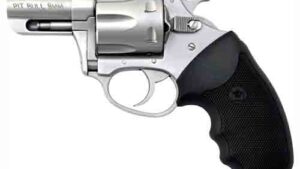 CHARTER ARMS PIT BULL 9MM - 2.2" S/S