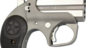 BOND ARMS ROUGHNECK 9MM LUGER - 2.5" SS RUBBER