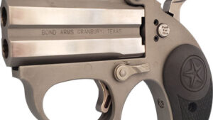 BOND ARMS STINGER RS 38SPL - 3" MATTES SS NYLON GRIP