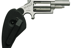 NAA MINI-REVOLVER COMBO 1-5/8" - 22LR/22WMR S/S W/HOLSTER GRP