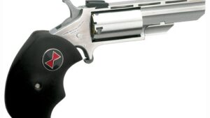 NAA "BLACK WIDOW" MINI-REVOLVR - 22LR 2" FS S/S BLACK