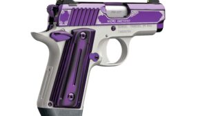 KIMBER MICRO AMETHYST 380ACP 2.75" NS