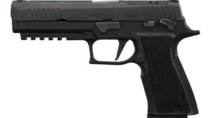 SIG SAUER P320 XTEN 10MM 5" MS OR 15+1