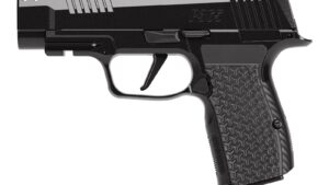 SIG SAUER P365 AXG COMP LUXE 380ACP 12+1