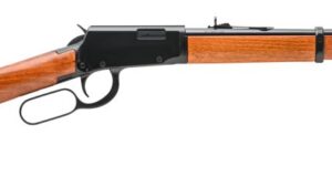 ROSSI RIO BRAVO 22WMR BL/WD 20"    #