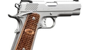 KIMBER STAINLESS PRO RAPTOR II 45ACP